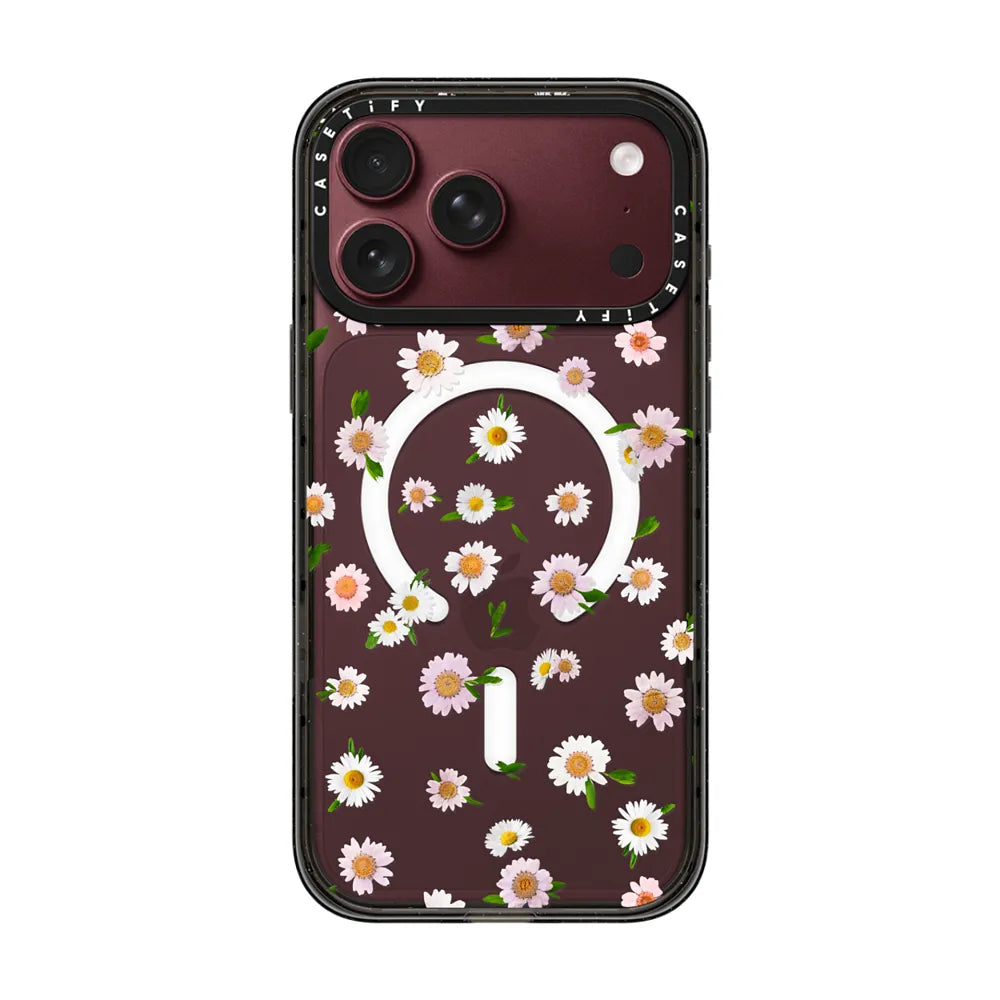 Pressed flowers daisy | Image 1