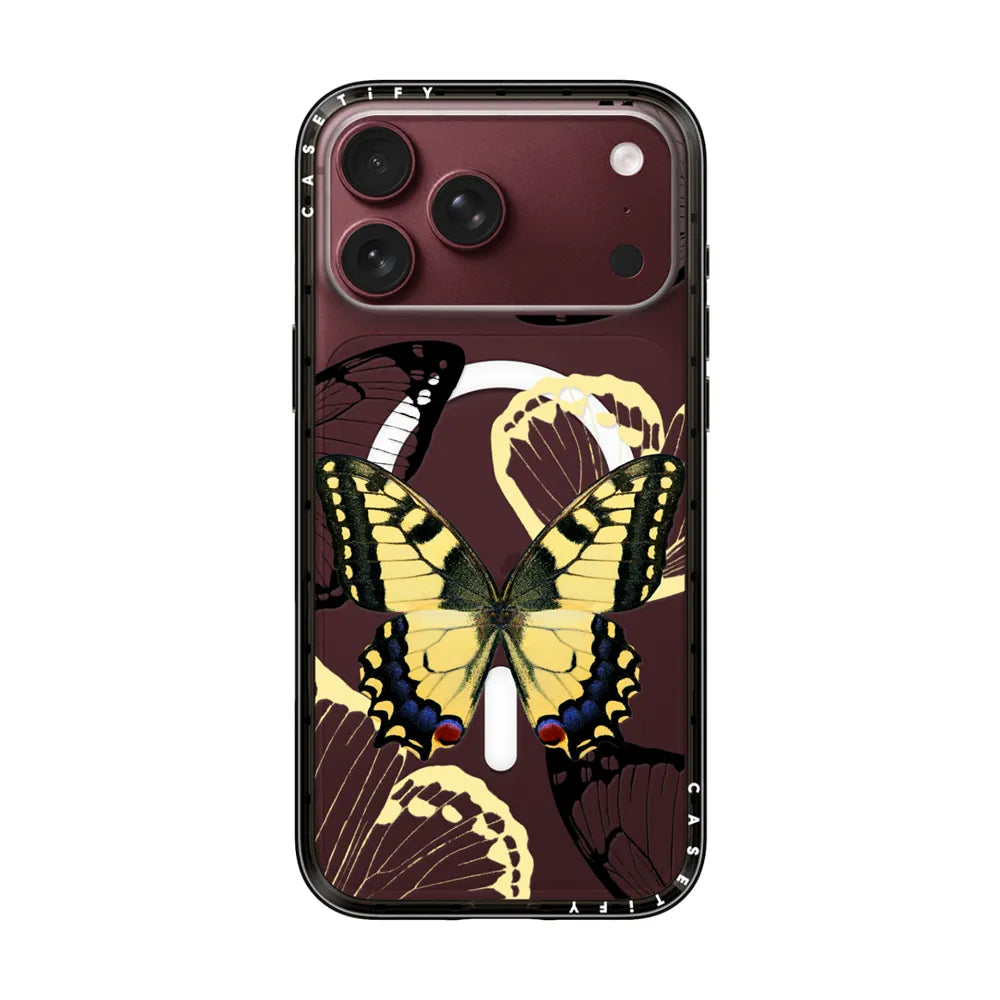 Specimen Butterfly Case | Image 1