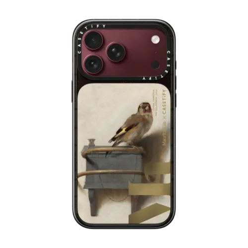 The Goldfinch Case | iPhone 18 Pro Max / Impact Case MagSafe Compatible - Glossy / Glossy Black | Image 1