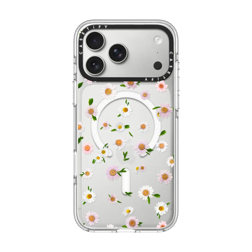 Pressed flowers daisy | Image 1