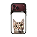 Cat | iPhone 18 Pro Max / Impact Case MagSafe Compatible - Glossy / Glossy Black | Image 1