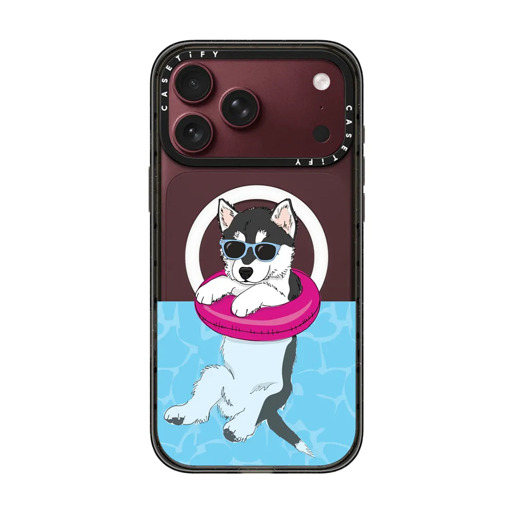 Swimming Husky | Image 1