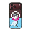 Swimming Husky | Image 1