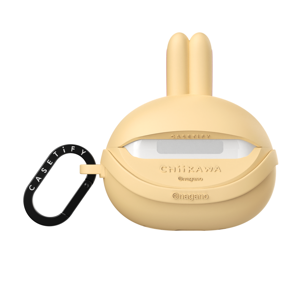 Usagi Sunnies Collectible Earbuds Case - AirPods Pro 2