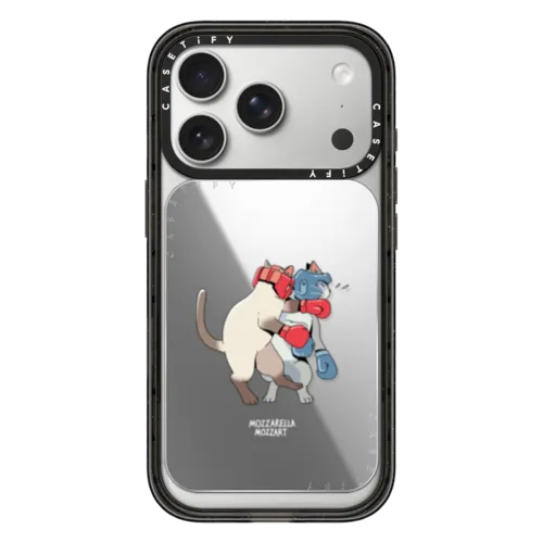 Fighting Cat | Snappy Cardholder Stand / Snappy Mirror Cardholder Stand MagSafe Compatible / Silver | Image 1