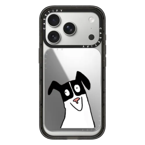Le Chien Snappy Cardholder Stand  | Snappy Cardholder Stand / Snappy Mirror Cardholder Stand MagSafe Compatible / Silver | Image 1