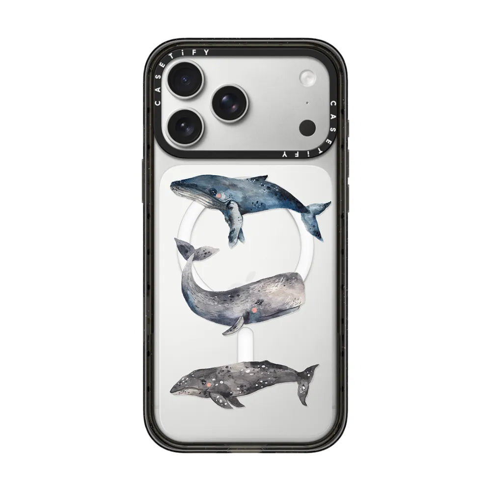 Whale | Image 1