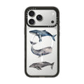 Whale | Image 1