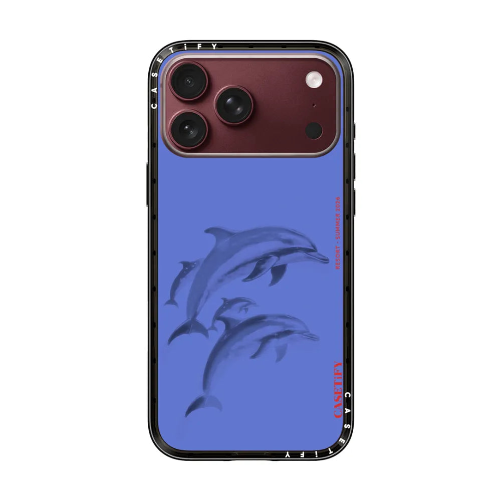 Dolphins Splash | Image 1