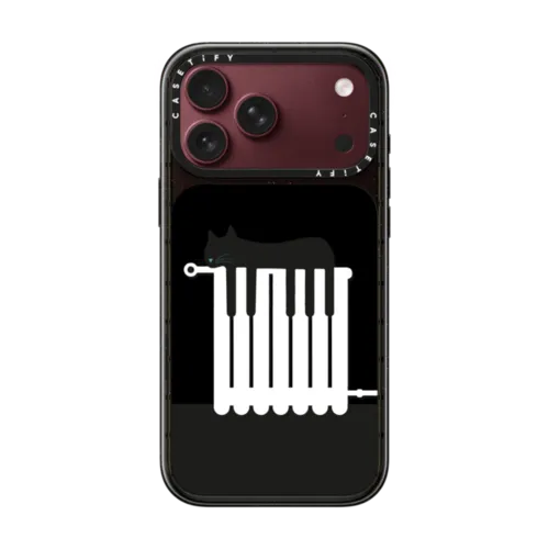 Music cat on the heater | iPhone 18 Pro Max / Impact Case MagSafe Compatible - Glossy / Glossy Black | Image 1